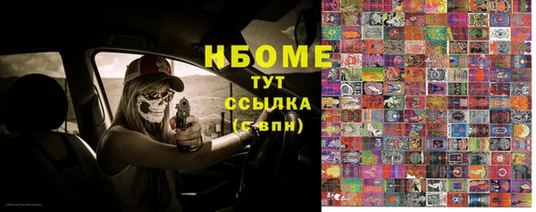 шишки Дмитров