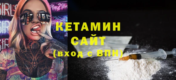 шишки Дмитров