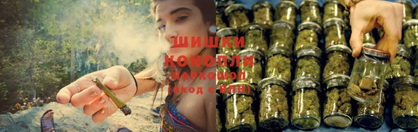 apvp Ладушкин
