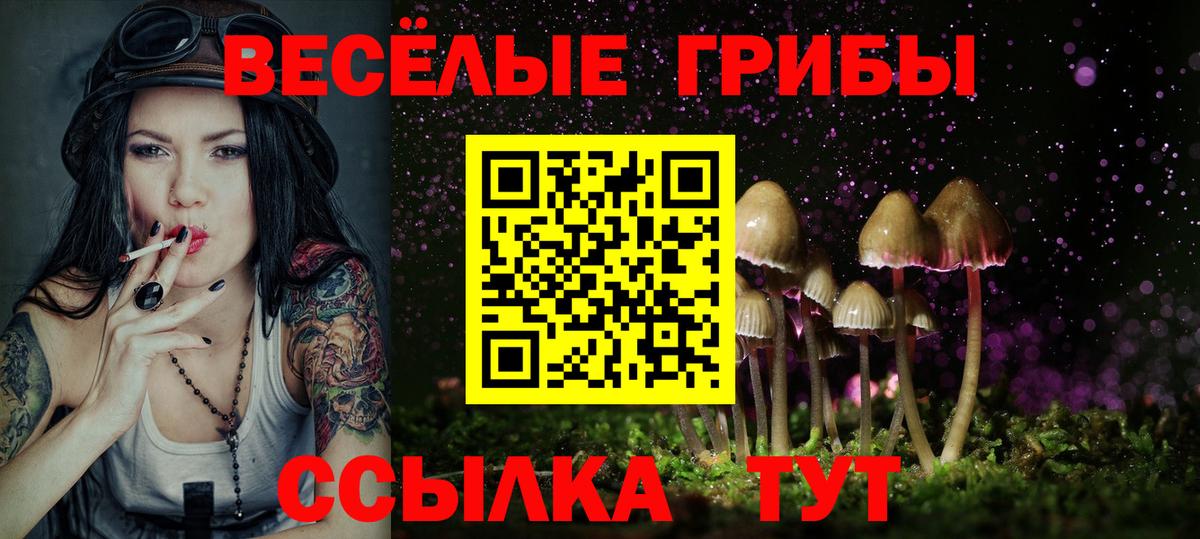 Галлюциногенные грибы Cubensis  Вход с VPN  Алейск 