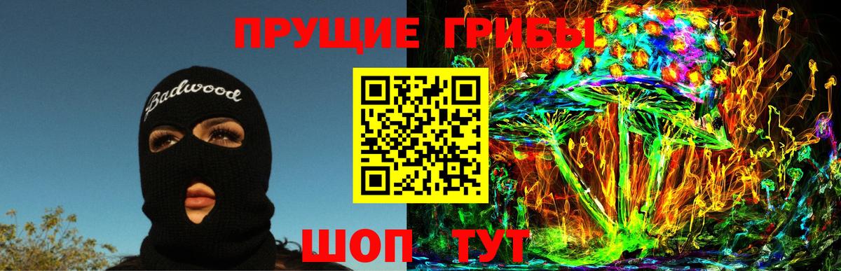 купить наркотики цена  Алейск  Галлюциногенные грибы Psilocybe 