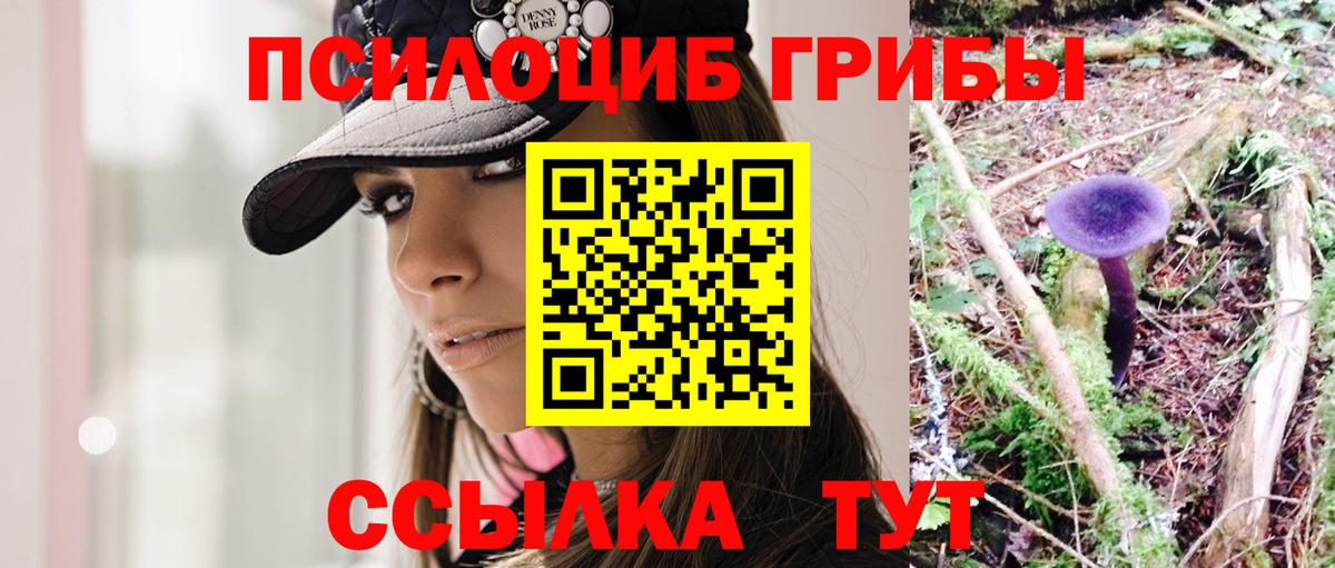 Галлюциногенные грибы Psilocybine cubensis Алейск