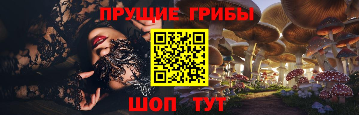 Галлюциногенные грибы Psilocybe Алейск