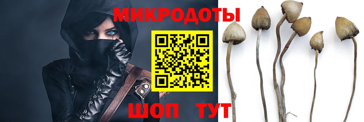 Алейск  Галлюциногенные грибы мицелий  Вход с VPN 