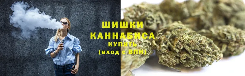 Бошки марихуана Amnesia  Алейск 